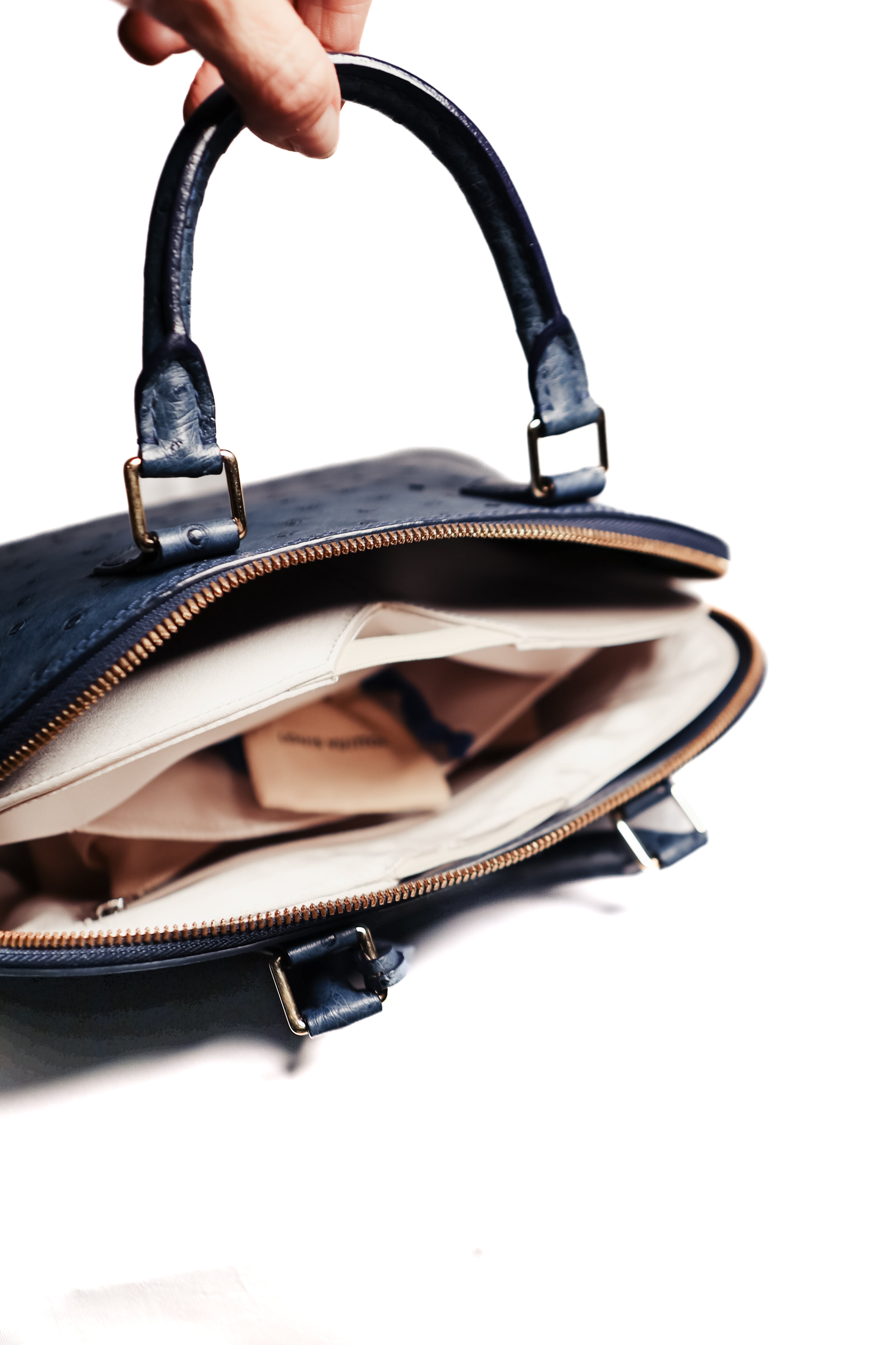 Louis Vuitton Ostrich Alma PM