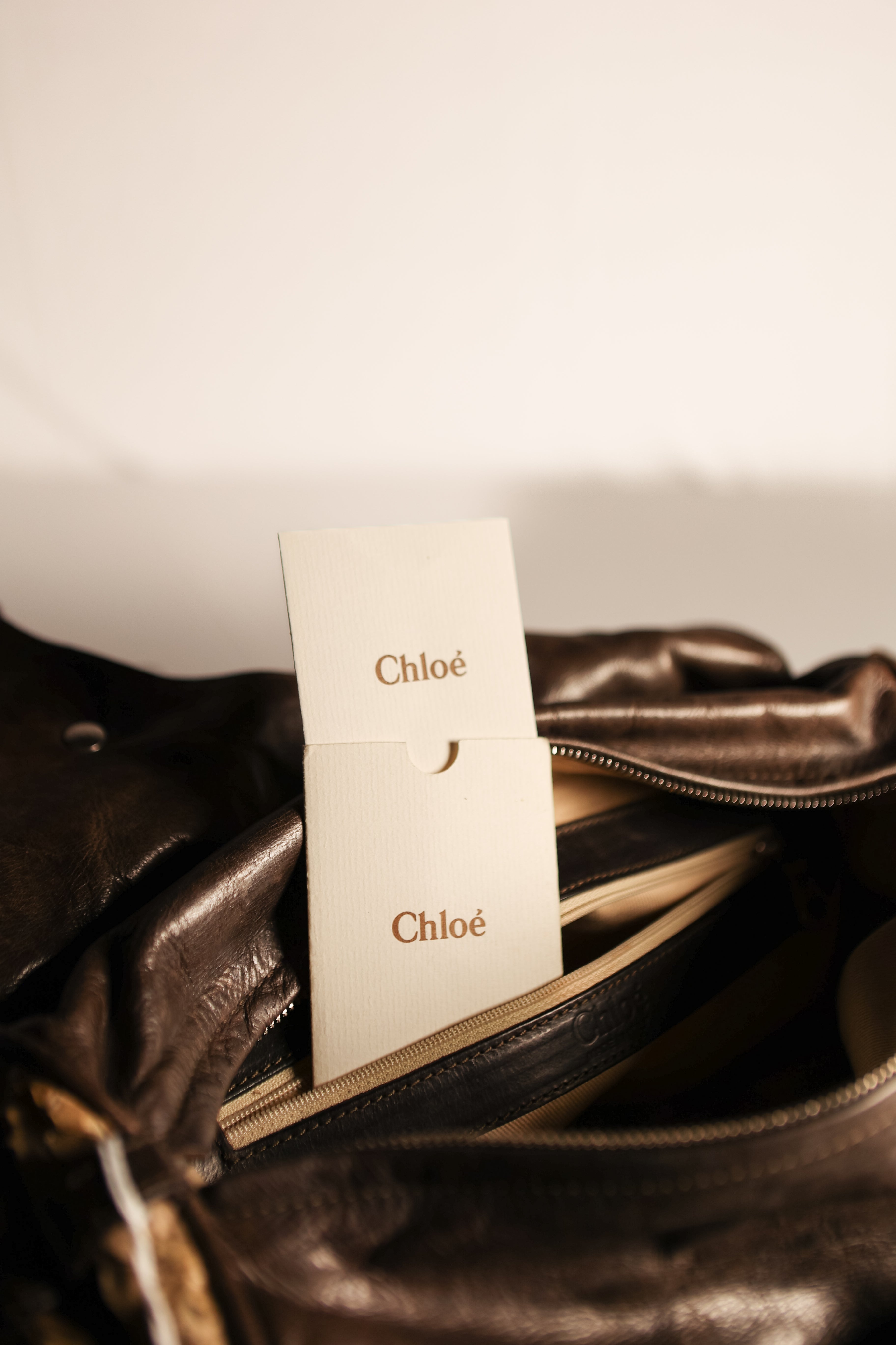 CHLOE Python Silverado Snakeskin Handbag