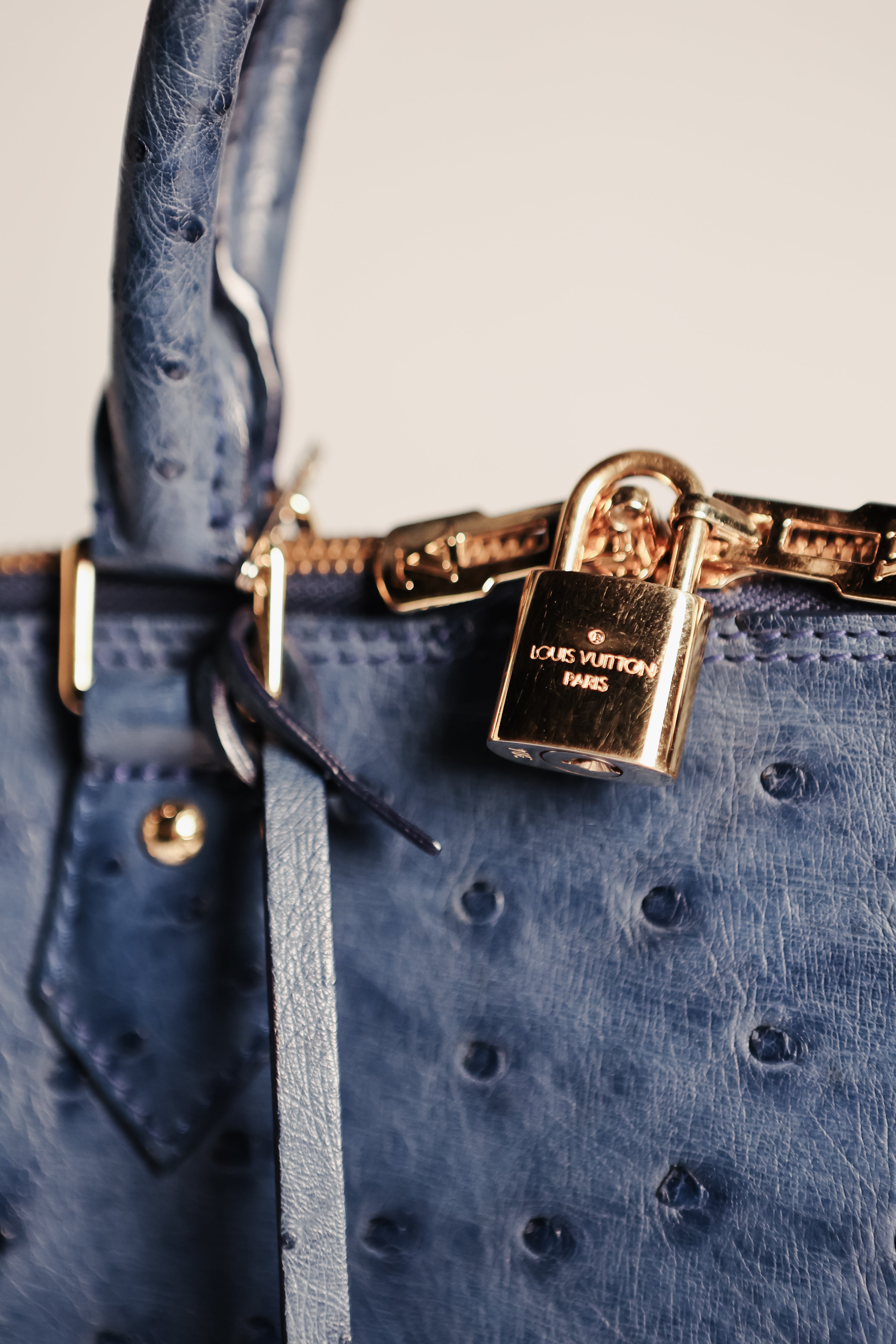Louis Vuitton Ostrich Alma PM