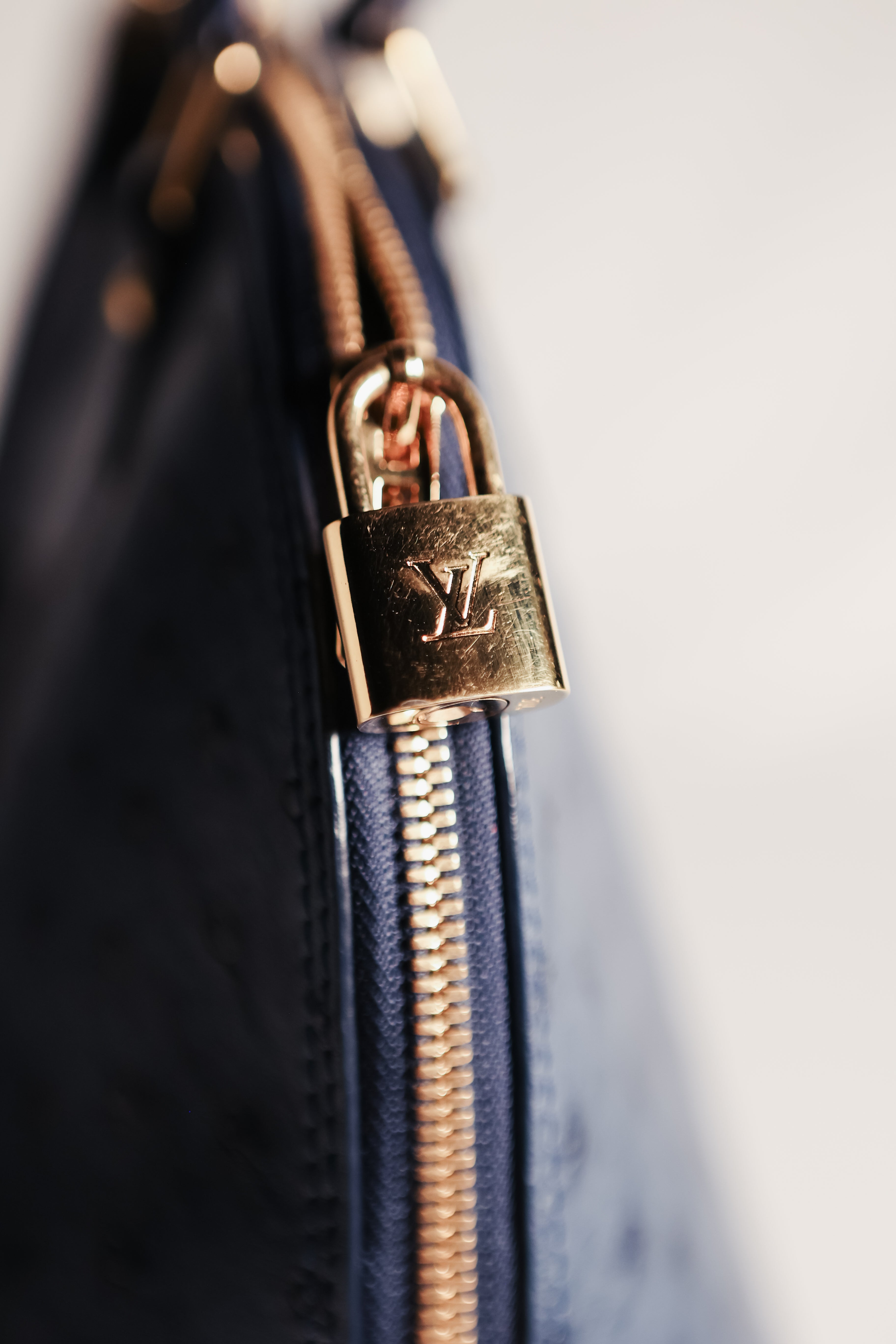 Louis Vuitton Ostrich Alma PM